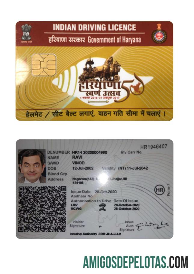 Carta de condução do estado de Haryana na Índia exemplo